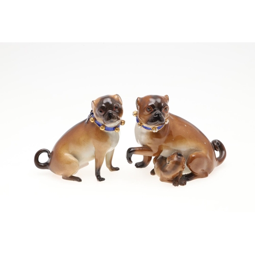 840 - MEISSEN STYLE PORCELAIN MODELS OF PUG DOGS. Including a model of a Pug and her pup, incised number 1... 