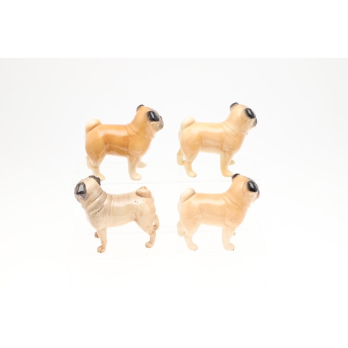 846 - ROYAL COPENHAGEN PUG & VARIOUS OTHER MODELS OF PUGS. A small Royal Copenhagen model of a Pug , Model... 