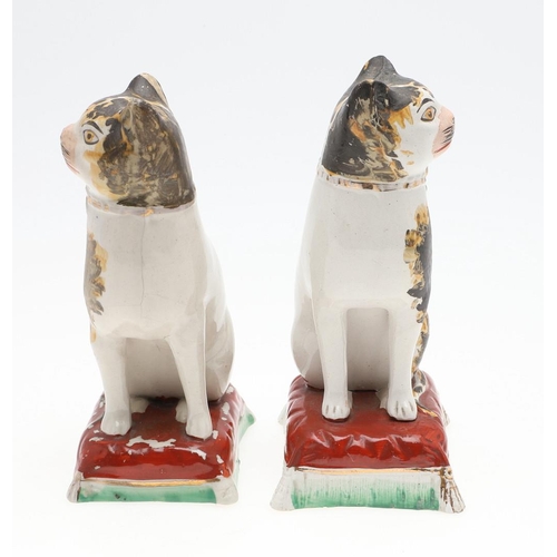 851 - A PAIR OF 19TH CENTURY STAFFORDSHIRE POTTERY CATS. A pair of 19thc Staffordshire pottery figures of ... 