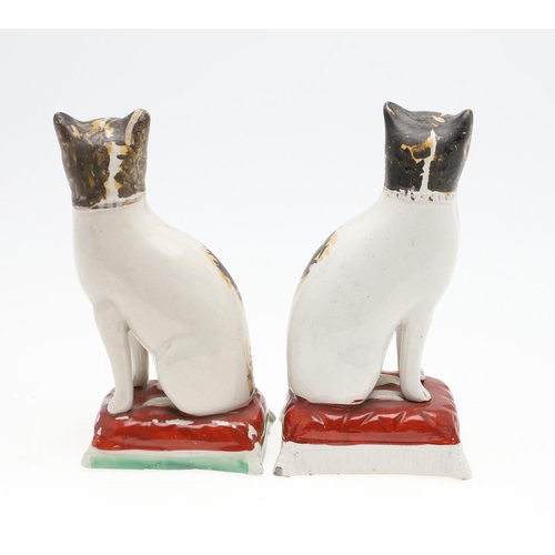 851 - A PAIR OF 19TH CENTURY STAFFORDSHIRE POTTERY CATS. A pair of 19thc Staffordshire pottery figures of ... 