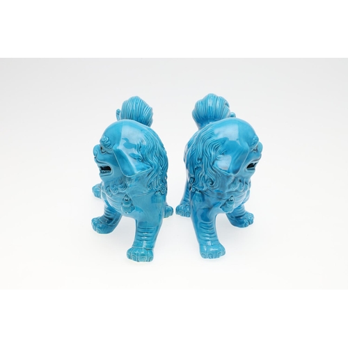 856 - PAIR OF ART POTTERY DOGS OF FO. A pair of Art Pottery models of Dogs of Fo, with a turquoise glaze a... 