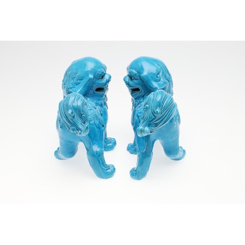 856 - PAIR OF ART POTTERY DOGS OF FO. A pair of Art Pottery models of Dogs of Fo, with a turquoise glaze a... 