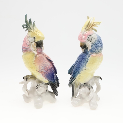 868 - TWO KARL ENS GERMAN PORCELAIN PARROTS. Two porcelain models of crested Parrots, each perched on a tr... 