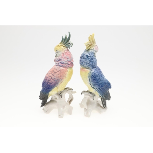 868 - TWO KARL ENS GERMAN PORCELAIN PARROTS. Two porcelain models of crested Parrots, each perched on a tr... 