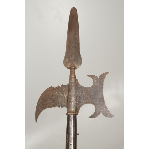 120 - AN UNUSUAL MID 18TH CENTURY SERGEANT's  HALBARD. The blade with central pointed spike above a broad ... 