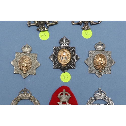 213 - AN EXTENSIVE AND WELL PRESENTED SET OF ARM BADGES FOR THE KING's  DRAGOON GUARDS. A collection of th... 