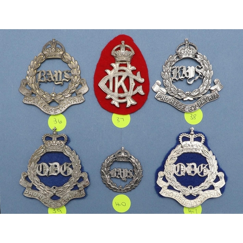 213 - AN EXTENSIVE AND WELL PRESENTED SET OF ARM BADGES FOR THE KING's  DRAGOON GUARDS. A collection of th... 