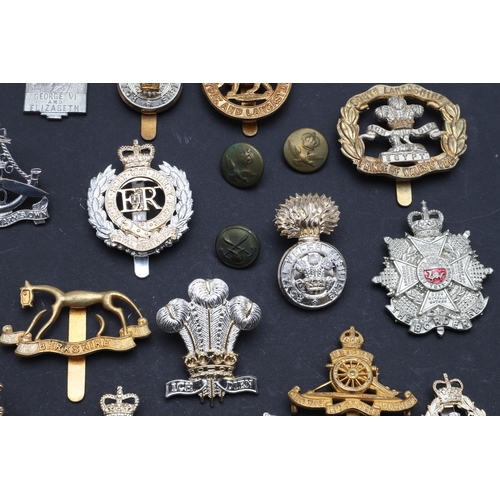 238 - A LARGE COLLECTION OF MILITARY CAP BADGES AND BUTTONS. A collection of modern military cap badges to... 