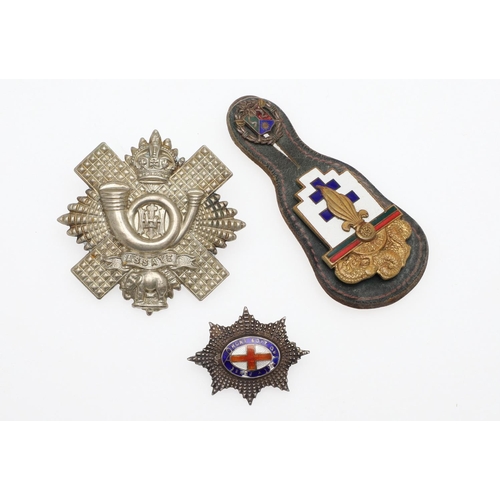 242 - A COLLECTION OF MILITARY AND SIMILAR PIN BADGES AND SIMILAR ITEMS. A collection of Military and simi... 