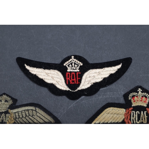 254 - A COLLECTION OF RAF FLYING WINGS. A collection of RAF and similar wings to include a  a padded RFC b... 