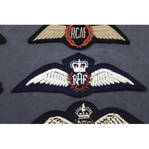 254 - A COLLECTION OF RAF FLYING WINGS. A collection of RAF and similar wings to include a  a padded RFC b... 