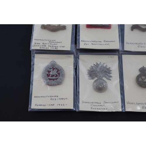 381 - A COLLECTION OF CAP BADGES, TERRITORIAL REGIMENTS. A collection of cap badges of Territorial Regimen... 