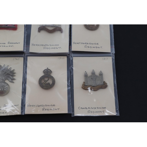 381 - A COLLECTION OF CAP BADGES, TERRITORIAL REGIMENTS. A collection of cap badges of Territorial Regimen... 