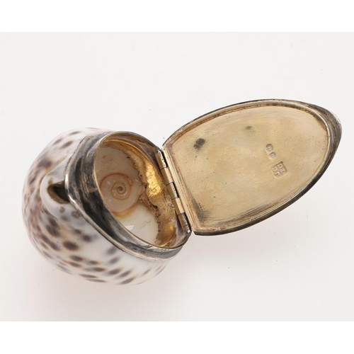 263 - A GEORGE IV SILVER MOUNTED COWRIE SHELL SNUFF BOX. initialled & with a gilt interior, by John & Thom... 