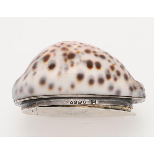 263 - A GEORGE IV SILVER MOUNTED COWRIE SHELL SNUFF BOX. initialled & with a gilt interior, by John & Thom... 