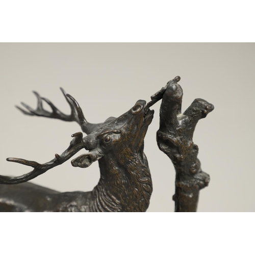 1168 - A COALBROOKDALE BRONZE OF A STAG. late 19th/ early 20th century, the stag naturalistically modelled ... 