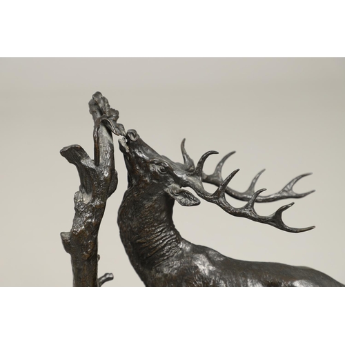 1168 - A COALBROOKDALE BRONZE OF A STAG. late 19th/ early 20th century, the stag naturalistically modelled ... 