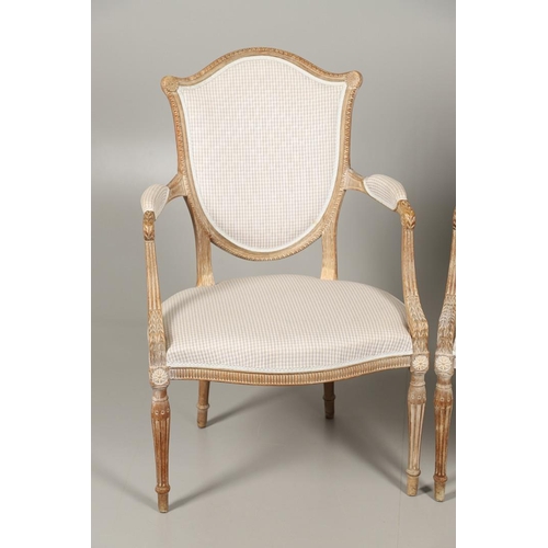 1265 - A PAIR OF SHERATON STYLE LIMEWOOD ELBOW CHAIRS. the shield backs on scroll arms, serpentine seat and... 