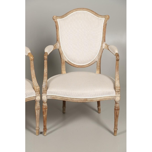 1265 - A PAIR OF SHERATON STYLE LIMEWOOD ELBOW CHAIRS. the shield backs on scroll arms, serpentine seat and... 