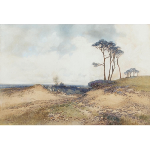 323 - FREDERICK JOHN WIDGERY (1861-1942). WOODBURY COMMON, SOUTH DEVON. Signed, bears inscribed label on r... 