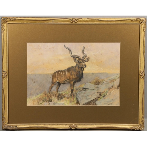 332 - ARTHUR WARDLE (1864-1949). KUDU ON A CRAG. Signed, coloured pastels
26 x 38.5cm.