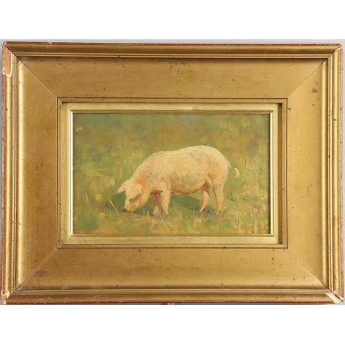 403 - ARTHUR LEMON (1850-1912). A PINK PIG. Oil on board
10.5 x 17.5cm.;
with an oil on canvas of a hedge ... 