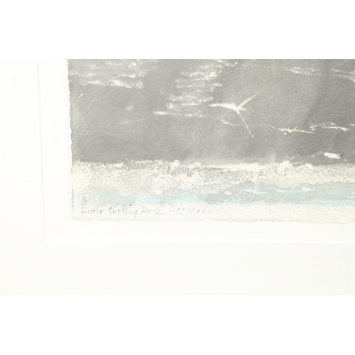 427 - NORMAN ACKROYD, CBE, RA (B.1938). LITTLE SKERRIG ROCK, CO. KERRY. (d) Signed and dated `15, inscribe... 