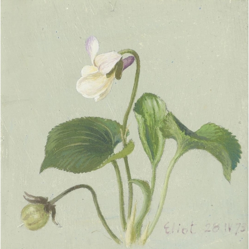 474 - ELIOT HODGKIN (1905-1987). VIOLET. (d) Signed and dated `Eliot 28 IV 73`, tempera on card
7.5 x 7.5c... 