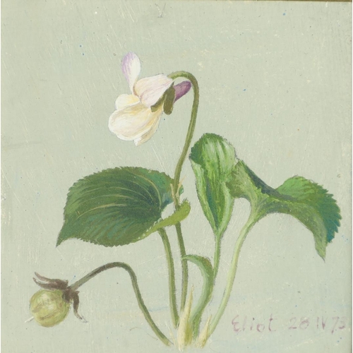 474 - ELIOT HODGKIN (1905-1987). VIOLET. (d) Signed and dated `Eliot 28 IV 73`, tempera on card
7.5 x 7.5c... 