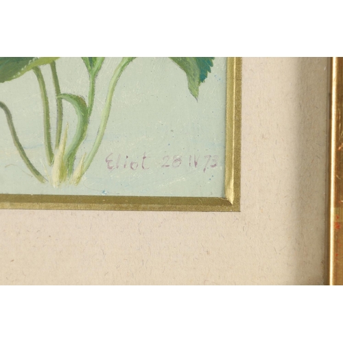 474 - ELIOT HODGKIN (1905-1987). VIOLET. (d) Signed and dated `Eliot 28 IV 73`, tempera on card
7.5 x 7.5c... 