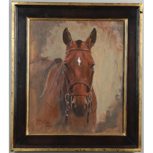 482 - CHARLES CHURCH (B.1970). HEAD STUDY OF A BAY HORSE. (d) Signed and dated 98, oil on canvas
45 x 37.5... 