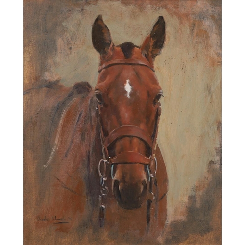 482 - CHARLES CHURCH (B.1970). HEAD STUDY OF A BAY HORSE. (d) Signed and dated 98, oil on canvas
45 x 37.5... 