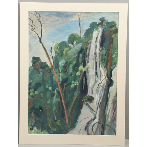 495 - VIVIEN JOHN (1915-1994). A FOLIO OF FIVE WORKS. (d) Comprising botanical and jungle subjects, two wi... 