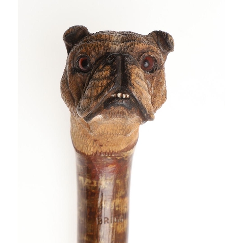 554 - 19THC WALKING STICK 'HERNES OAK WINDSOR' & BULLDOG WALKING STICK BY BRIGG. Including an interesting ... 