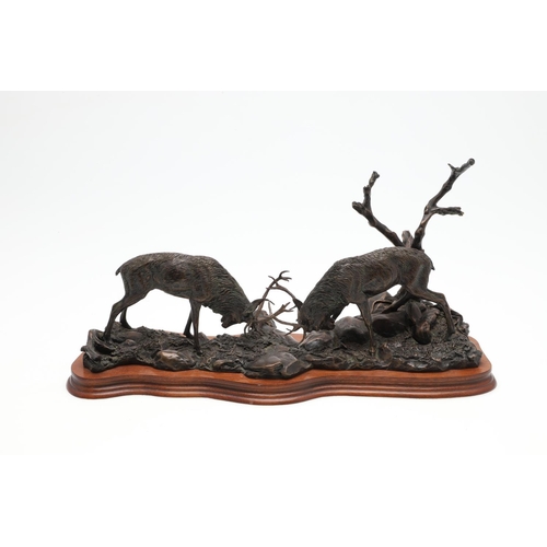 626 - A BORDER FINE ARTS BRONZED GROUP - HIGHLAND CHALLENGE (STAGS FIGHTING). A large unusual group of two... 