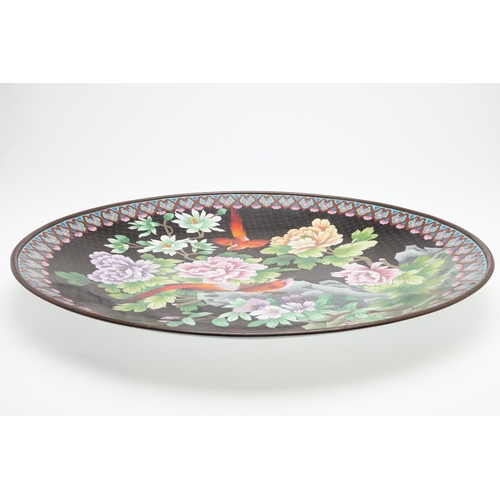 749 - LARGE CHINESE CLOISONNE CHARGER. An unusually large 20thc cloisonne charger, with exotic birds perch... 