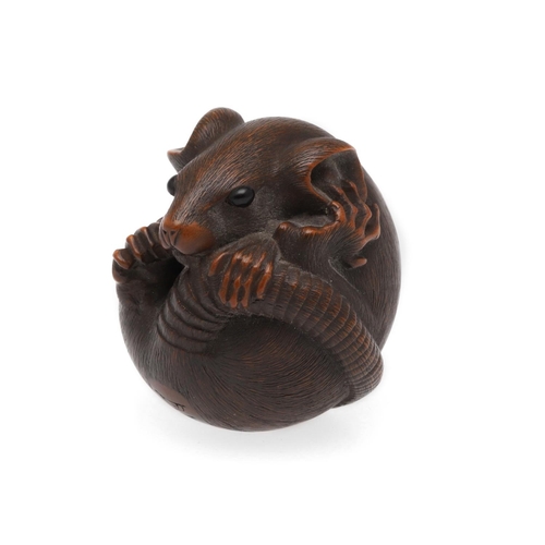 757A - JAPANESE SIGNED CARVED NETSUKE - 'COILED RAT', PROBABLY BY 'MASANAO'. Probably second half of the 19... 