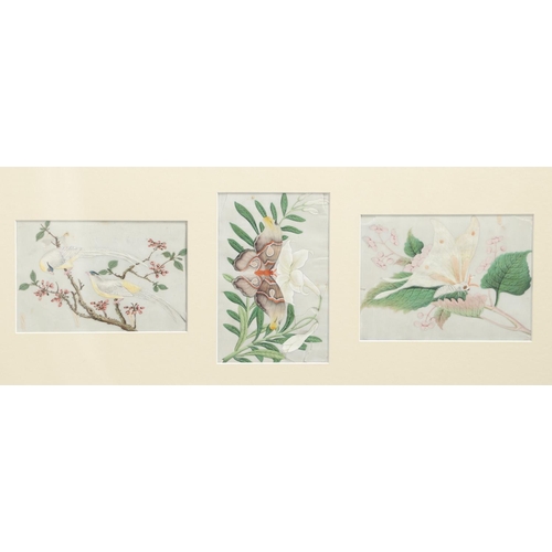 758 - CHINESE FRAMED PITH PAINTINGS. A collection of nine Chinese rice paper paintings, with depictions of... 