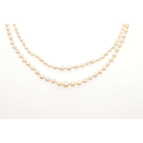 1121 - A DOUBLE ROW GRADUATED NATURAL PEARL NECKLACE. the pearls graduate from approximately 2.3 to 6.9mm a... 