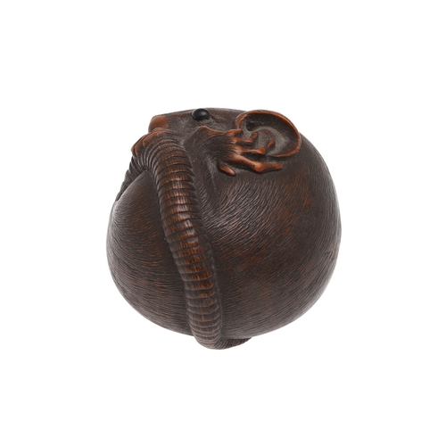 757A - JAPANESE SIGNED CARVED NETSUKE - 'COILED RAT', PROBABLY BY 'MASANAO'. Probably second half of the 19... 