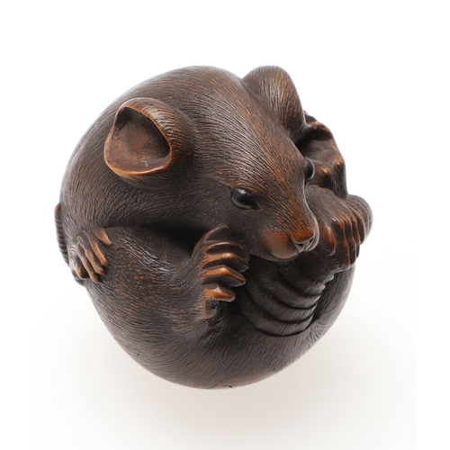 757A - JAPANESE SIGNED CARVED NETSUKE - 'COILED RAT', PROBABLY BY 'MASANAO'. Probably second half of the 19... 