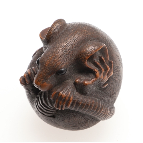 757A - JAPANESE SIGNED CARVED NETSUKE - 'COILED RAT', PROBABLY BY 'MASANAO'. Probably second half of the 19... 