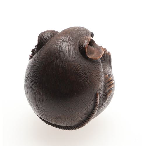 757A - JAPANESE SIGNED CARVED NETSUKE - 'COILED RAT', PROBABLY BY 'MASANAO'. Probably second half of the 19... 