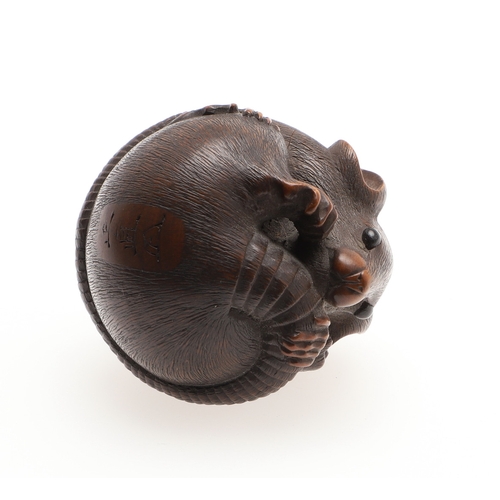 757A - JAPANESE SIGNED CARVED NETSUKE - 'COILED RAT', PROBABLY BY 'MASANAO'. Probably second half of the 19... 