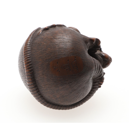 757A - JAPANESE SIGNED CARVED NETSUKE - 'COILED RAT', PROBABLY BY 'MASANAO'. Probably second half of the 19... 