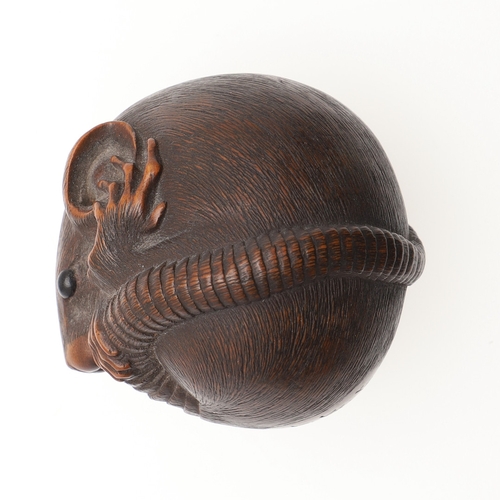 757A - JAPANESE SIGNED CARVED NETSUKE - 'COILED RAT', PROBABLY BY 'MASANAO'. Probably second half of the 19... 