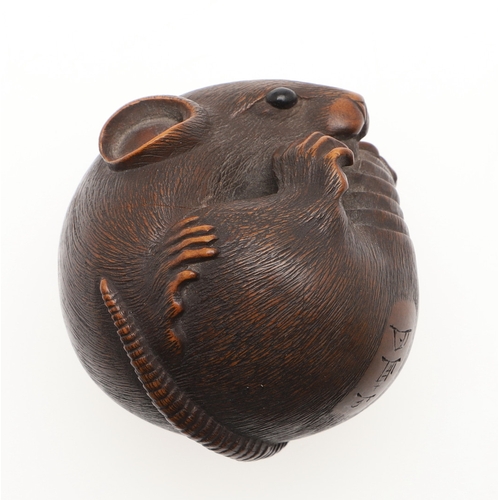 757A - JAPANESE SIGNED CARVED NETSUKE - 'COILED RAT', PROBABLY BY 'MASANAO'. Probably second half of the 19... 