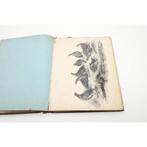 458 - ELIZABETH BARRETT BROWNING. An album of sketches and manuscript copies by the Barrett's and their ci... 