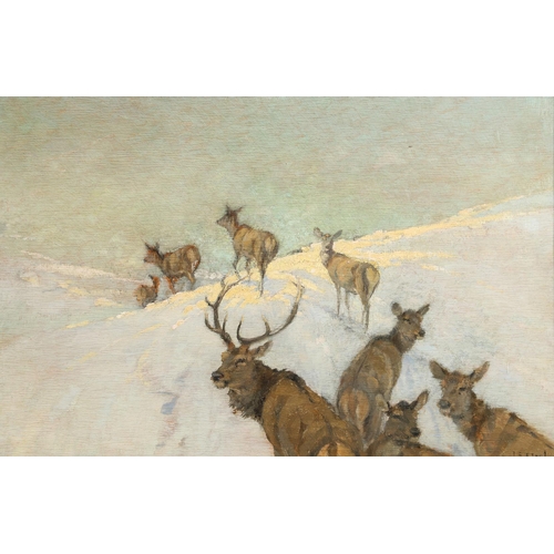313 - JOHN SYDNEY STEEL (1863-1932). THE LAST CHANCE. Signed, oil on thin panel
29 x 44.5cm.

Provenance: ... 