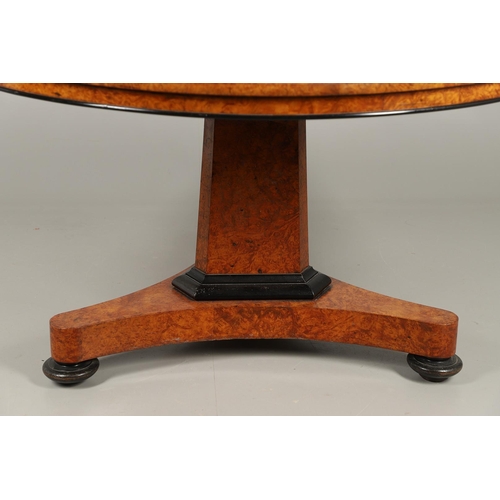 478 - A REGENCY AMBOYNA BREAKFAST TABLE, CIRCA 1815. the circular tilt top with ebonised lower rim upon a ... 